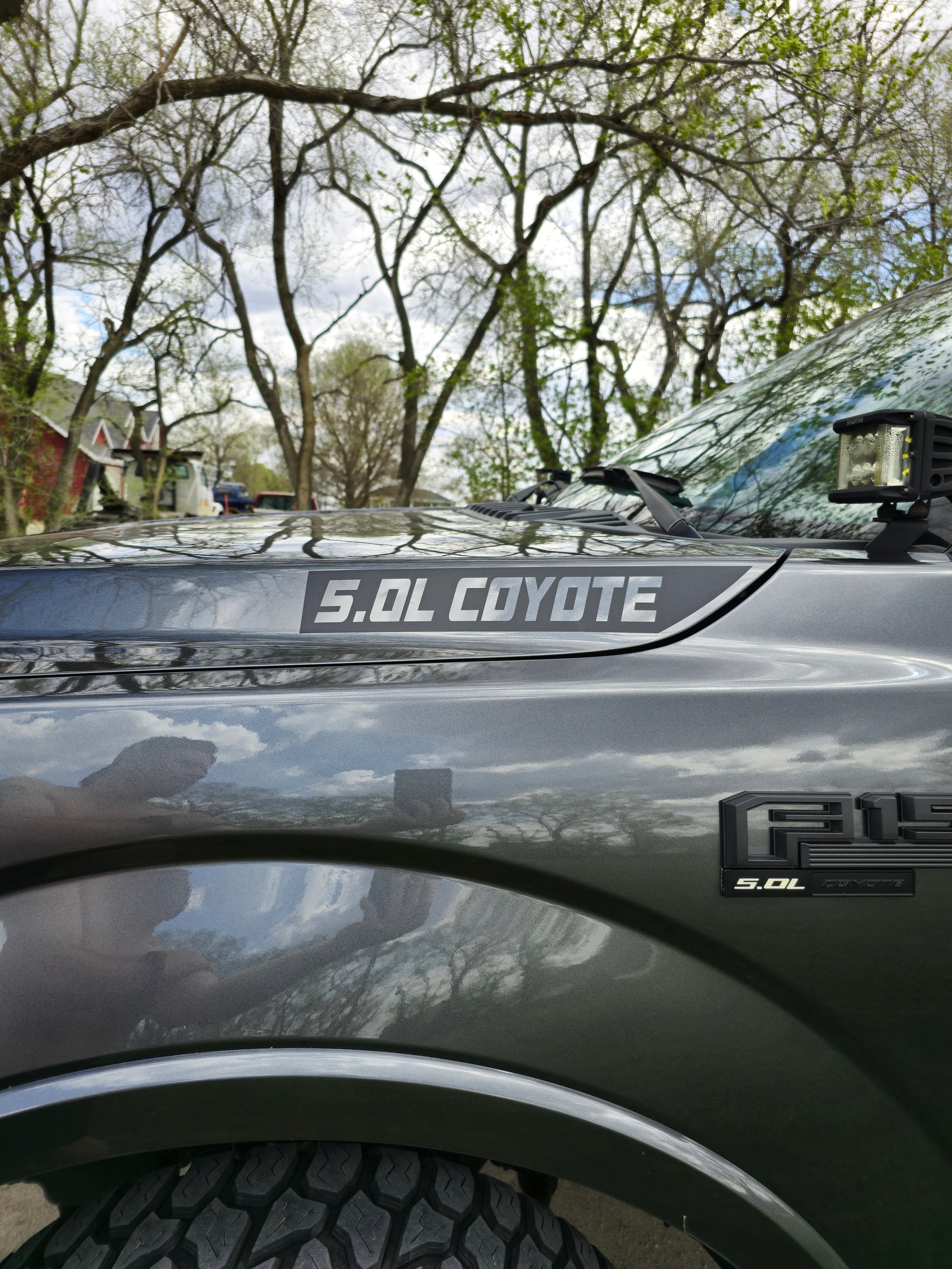 2015-2020 5.0L Coyote Hood Decal