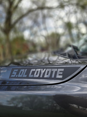 2015-2020 5.0L Coyote Hood Decal