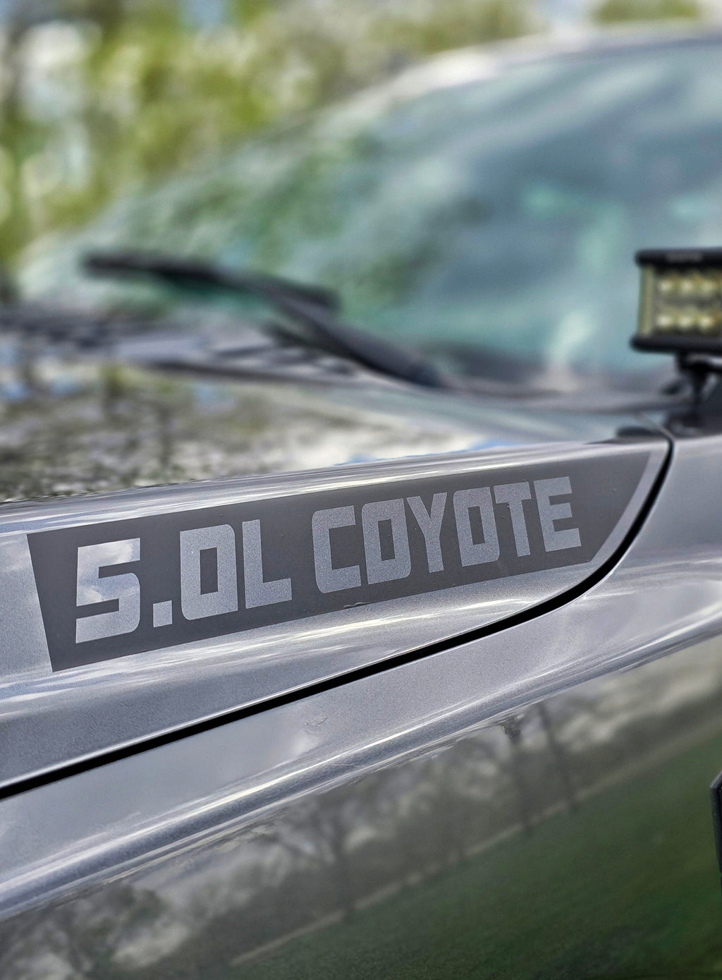 2015-2020 5.0L Coyote Hood Decal