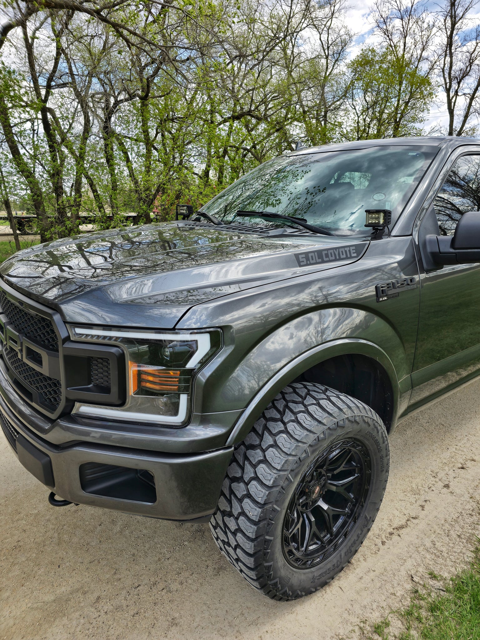 2015-2020 5.0L Coyote Hood Decal