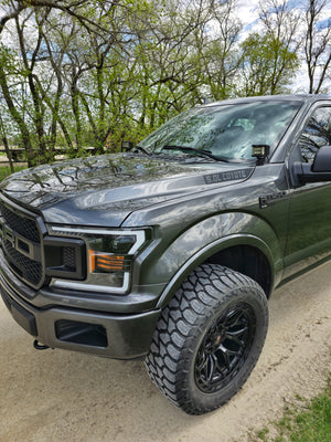 2015-2020 5.0L Coyote Hood Decal